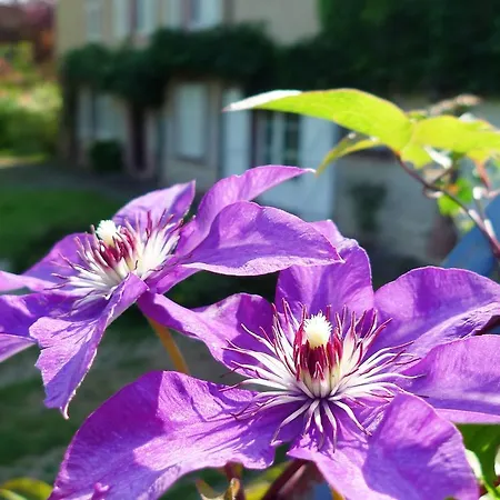 Hébergement de vacances Beautiful Farmhouse In Lusse With Barbecue *