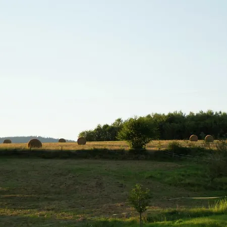 Beautiful Farmhouse In Lusse With Barbecue * Moyenmoutier