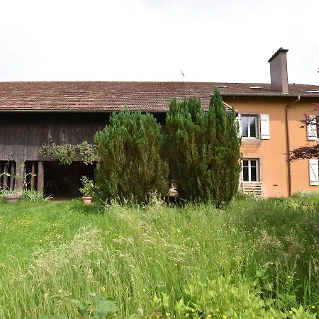 Beautiful Farmhouse In Lusse With Barbecue Moyenmoutier