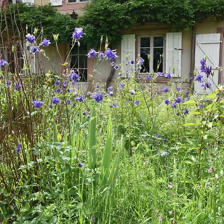Beautiful Farmhouse In Lusse With Barbecue Hébergement de vacances