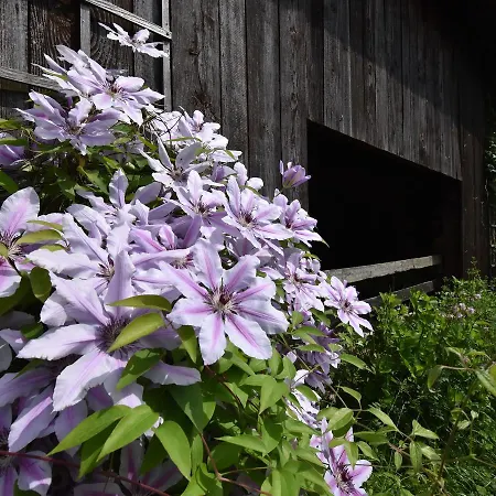 Beautiful Farmhouse In Lusse With Barbecue Hébergement de vacances *