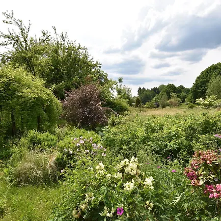 Beautiful Farmhouse In Lusse With Barbecue Hébergement de vacances Moyenmoutier