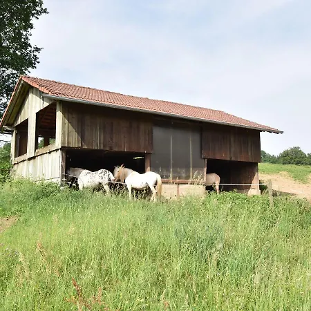 Hébergement de vacances Beautiful Farmhouse In Lusse With Barbecue Moyenmoutier
